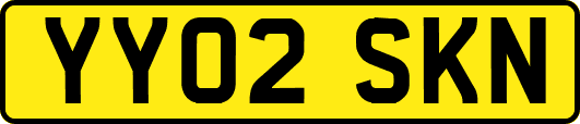 YY02SKN