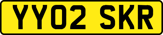 YY02SKR