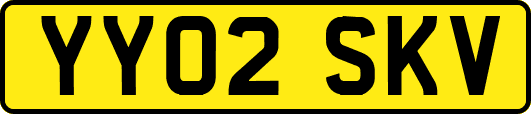 YY02SKV
