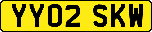 YY02SKW