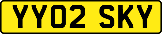 YY02SKY