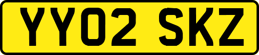YY02SKZ