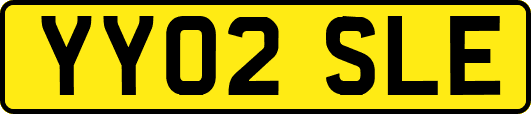 YY02SLE