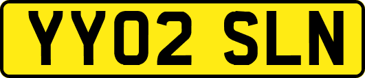 YY02SLN