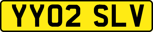 YY02SLV