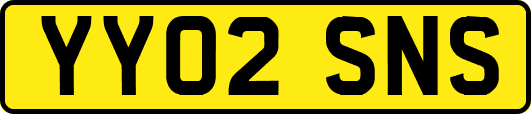 YY02SNS