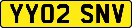 YY02SNV