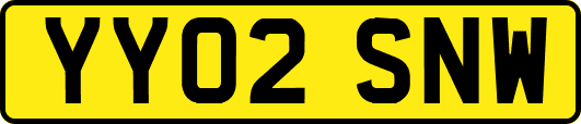 YY02SNW
