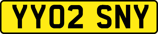 YY02SNY
