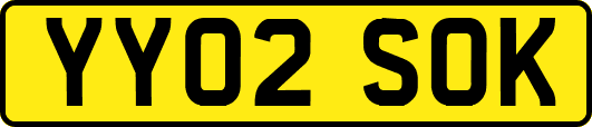 YY02SOK