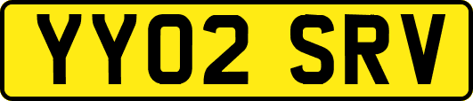 YY02SRV
