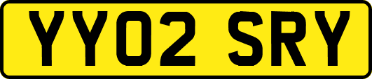 YY02SRY
