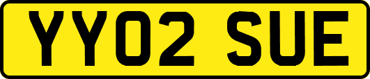 YY02SUE