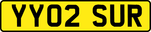 YY02SUR