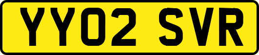 YY02SVR