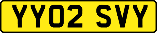 YY02SVY