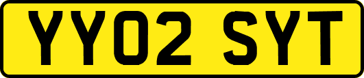 YY02SYT