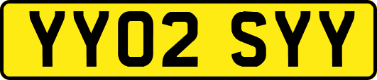 YY02SYY