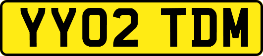 YY02TDM