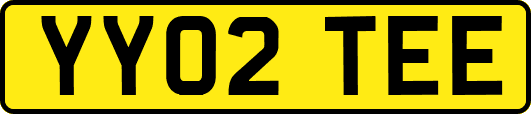 YY02TEE