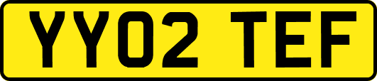 YY02TEF
