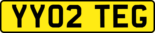 YY02TEG