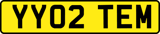 YY02TEM