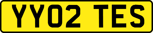 YY02TES