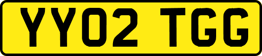 YY02TGG