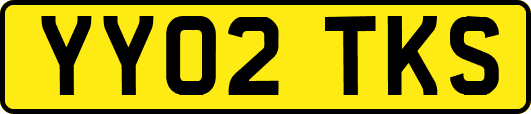 YY02TKS
