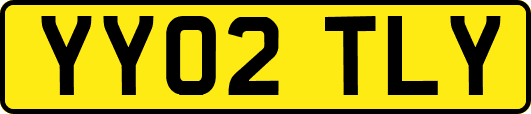 YY02TLY