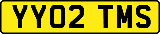 YY02TMS