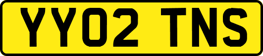 YY02TNS