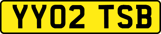 YY02TSB