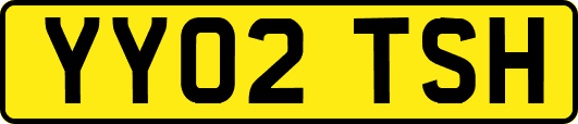 YY02TSH