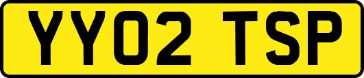 YY02TSP