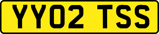 YY02TSS
