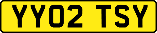 YY02TSY