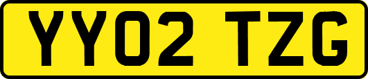 YY02TZG