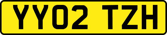YY02TZH
