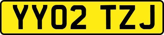 YY02TZJ