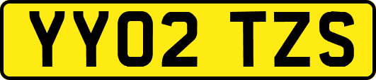 YY02TZS
