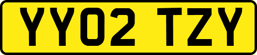 YY02TZY