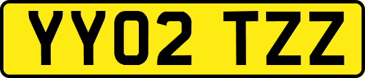 YY02TZZ