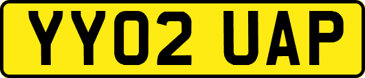 YY02UAP