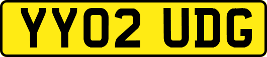 YY02UDG
