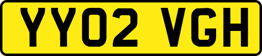 YY02VGH
