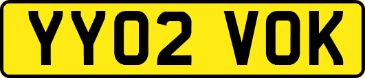 YY02VOK