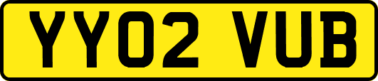YY02VUB