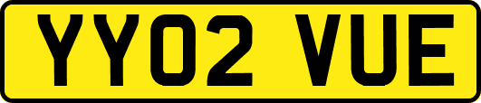 YY02VUE
